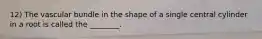 12) The vascular bundle in the shape of a single central cylinder in a root is called the ________.