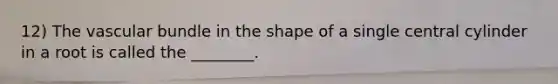 12) The vascular bundle in the shape of a single central cylinder in a root is called the ________.