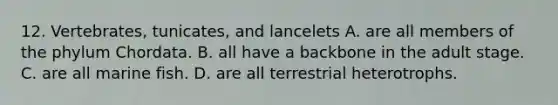 12. Vertebrates, tunicates, and lancelets A. are all members of the phylum Chordata. B. all have a backbone in the adult stage. C. are all marine fish. D. are all terrestrial heterotrophs.