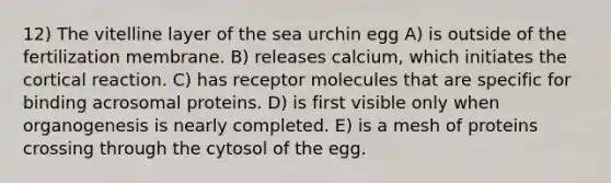 12) The vitelline layer of the sea urchin egg A) is outside of the fertilization membrane. B) releases calcium, which initiates the cortical reaction. C) has receptor molecules that are specific for binding acrosomal proteins. D) is first visible only when organogenesis is nearly completed. E) is a mesh of proteins crossing through the cytosol of the egg.