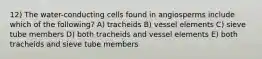 12) The water-conducting cells found in angiosperms include which of the following? A) tracheids B) vessel elements C) sieve tube members D) both tracheids and vessel elements E) both tracheids and sieve tube members