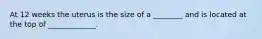 At 12 weeks the uterus is the size of a ________ and is located at the top of _____________.