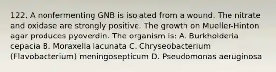122. A nonfermenting GNB is isolated from a wound. The nitrate and oxidase are strongly positive. The growth on Mueller-Hinton agar produces pyoverdin. The organism is: A. Burkholderia cepacia B. Moraxella lacunata C. Chryseobacterium (Flavobacterium) meningosepticum D. Pseudomonas aeruginosa