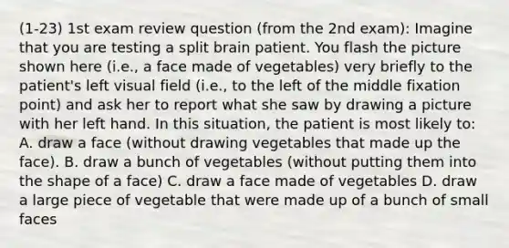 (1-23) 1st exam review question (from the 2nd exam): Imagine that you are testing a split brain patient. You flash the picture shown here (i.e., a face made of vegetables) very briefly to the patient's left visual field (i.e., to the left of the middle fixation point) and ask her to report what she saw by drawing a picture with her left hand. In this situation, the patient is most likely to: A. draw a face (without drawing vegetables that made up the face). B. draw a bunch of vegetables (without putting them into the shape of a face) C. draw a face made of vegetables D. draw a large piece of vegetable that were made up of a bunch of small faces