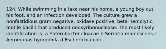 124. While swimming in a lake near his home, a young boy cut his foot, and an infection developed. The culture grew a nonfastidious gram-negative, oxidase positive, beta-hemolytic, motile bacilli that produced deoxyribonuclease. The most likely identification is: a Enterobacter cloacae b Serratia marcescens c Aeromonas hydrophila d Escherichia coli