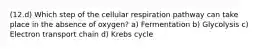 (12.d) Which step of the cellular respiration pathway can take place in the absence of oxygen? a) Fermentation b) Glycolysis c) Electron transport chain d) Krebs cycle