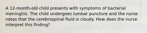 A 12-month-old child presents with symptoms of bacterial meningitis. The child undergoes lumbar puncture and the nurse notes that the cerebrospinal fluid is cloudy. How does the nurse interpret this finding?