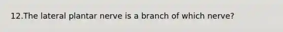 12.The lateral plantar nerve is a branch of which nerve?