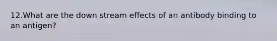 12.What are the down stream effects of an antibody binding to an antigen?