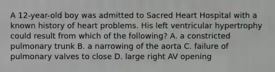 A 12-year-old boy was admitted to Sacred Heart Hospital with a known history of heart problems. His left ventricular hypertrophy could result from which of the following? A. a constricted pulmonary trunk B. a narrowing of the aorta C. failure of pulmonary valves to close D. large right AV opening