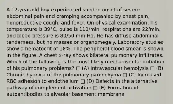 A 12-year-old boy experienced sudden onset of severe abdominal pain and cramping accompanied by chest pain, nonproductive cough, and fever. On physical examination, his temperature is 39°C, pulse is 110/min, respirations are 22/min, and <a href='https://www.questionai.com/knowledge/kD0HacyPBr-blood-pressure' class='anchor-knowledge'>blood pressure</a> is 80/50 mm Hg. He has diffuse abdominal tenderness, but no masses or organomegaly. Laboratory studies show a hematocrit of 18%. The peripheral blood smear is shown in the figure. A chest x-ray shows bilateral pulmonary infiltrates. Which of the following is the most likely mechanism for initiation of his pulmonary problems? □ (A) Intravascular hemolysis □ (B) Chronic hypoxia of the pulmonary parenchyma □ (C) Increased RBC adhesion to endothelium □ (D) Defects in the alternative pathway of complement activation □ (E) Formation of autoantibodies to alveolar basement membrane