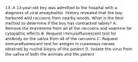 13. A 13-year-old boy was admitted to the hospital with a diagnosis of viral encephalitis. History revealed that the boy harbored wild raccoons from nearby woods. What is the best method to determine if the boy has contracted rabies? A. Remove the brainstems from all of the raccoons and examine for cytopathic effects B. Request immunofluorescent test for antibody on the saliva from all of the raccoons C. Request immunofluorescent test for antigen in cutaneous nerves obtained by nuchal biopsy of the patient D. Isolate the virus from the saliva of both the animals and the patient