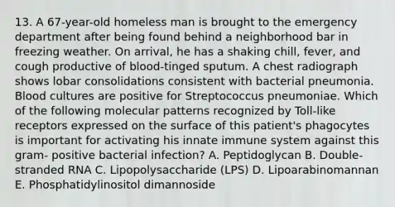 13. A 67-year-old homeless man is brought to the emergency department after being found behind a neighborhood bar in freezing weather. On arrival, he has a shaking chill, fever, and cough productive of blood-tinged sputum. A chest radiograph shows lobar consolidations consistent with bacterial pneumonia. Blood cultures are positive for Streptococcus pneumoniae. Which of the following molecular patterns recognized by Toll-like receptors expressed on the surface of this patient's phagocytes is important for activating his innate immune system against this gram- positive bacterial infection? A. Peptidoglycan B. Double-stranded RNA C. Lipopolysaccharide (LPS) D. Lipoarabinomannan E. Phosphatidylinositol dimannoside