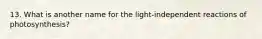 13. What is another name for the light-independent reactions of photosynthesis?