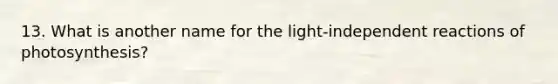 13. What is another name for the light-independent reactions of photosynthesis?