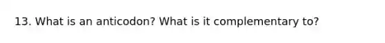 13. What is an anticodon? What is it complementary to?