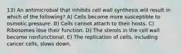 13) An antimicrobial that inhibits cell wall synthesis will result in which of the following? A) Cells become more susceptible to osmotic pressure. B) Cells cannot attach to their hosts. C) Ribosomes lose their function. D) The sterols in the cell wall become nonfunctional. E) The replication of cells, including cancer cells, slows down.