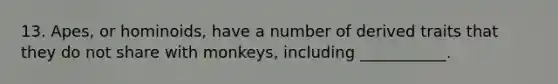 13. Apes, or hominoids, have a number of derived traits that they do not share with monkeys, including ___________.