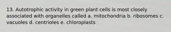 13. Autotrophic activity in green plant cells is most closely associated with organelles called a. mitochondria b. ribosomes c. vacuoles d. centrioles e. chloroplasts