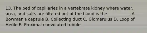 13. The bed of capillaries in a vertebrate kidney where water, urea, and salts are filtered out of the blood is the __________. A. Bowman's capsule B. Collecting duct C. Glomerulus D. Loop of Henle E. Proximal convoluted tubule