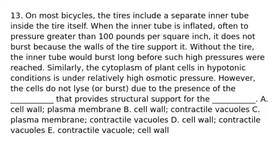 13. On most bicycles, the tires include a separate inner tube inside the tire itself. When the inner tube is inflated, often to pressure greater than 100 pounds per square inch, it does not burst because the walls of the tire support it. Without the tire, the inner tube would burst long before such high pressures were reached. Similarly, the cytoplasm of plant cells in hypotonic conditions is under relatively high osmotic pressure. However, the cells do not lyse (or burst) due to the presence of the ___________ that provides structural support for the ___________. A. cell wall; plasma membrane B. cell wall; contractile vacuoles C. plasma membrane; contractile vacuoles D. cell wall; contractile vacuoles E. contractile vacuole; cell wall