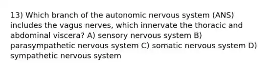 13) Which branch of the autonomic nervous system (ANS) includes the vagus nerves, which innervate the thoracic and abdominal viscera? A) sensory nervous system B) parasympathetic nervous system C) somatic nervous system D) sympathetic nervous system