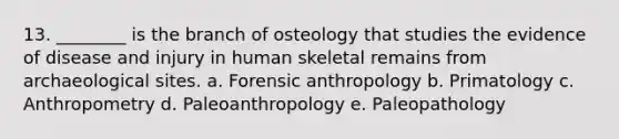 13. ________ is the branch of osteology that studies the evidence of disease and injury in human skeletal remains from archaeological sites. a. Forensic anthropology b. Primatology c. Anthropometry d. Paleoanthropology e. Paleopathology