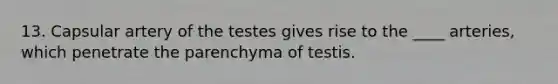 13. Capsular artery of the testes gives rise to the ____ arteries, which penetrate the parenchyma of testis.