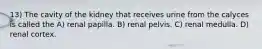 13) The cavity of the kidney that receives urine from the calyces is called the A) renal papilla. B) renal pelvis. C) renal medulla. D) renal cortex.