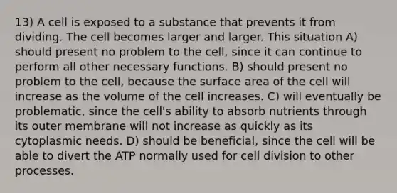 13) A cell is exposed to a substance that prevents it from dividing. The cell becomes larger and larger. This situation A) should present no problem to the cell, since it can continue to perform all other necessary functions. B) should present no problem to the cell, because the surface area of the cell will increase as the volume of the cell increases. C) will eventually be problematic, since the cell's ability to absorb nutrients through its outer membrane will not increase as quickly as its cytoplasmic needs. D) should be beneficial, since the cell will be able to divert the ATP normally used for cell division to other processes.