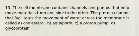 13. The cell membrane contains channels and pumps that help move materials from one side to the other. The protein channel that facilitates the movement of water across the membrane is called a) cholesterol. b) aquaporin. c) a proton pump. d) glycoprotein.