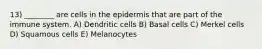 13) ________ are cells in the epidermis that are part of the immune system. A) Dendritic cells B) Basal cells C) Merkel cells D) Squamous cells E) Melanocytes