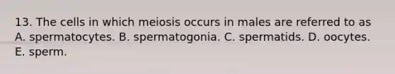 13. The cells in which meiosis occurs in males are referred to as A. spermatocytes. B. spermatogonia. C. spermatids. D. oocytes. E. sperm.