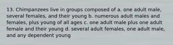 13. Chimpanzees live in groups composed of a. one adult male, several females, and their young b. numerous adult males and females, plus young of all ages c. one adult male plus one adult female and their young d. several adult females, one adult male, and any dependent young