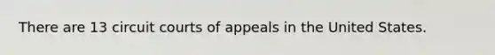 There are 13 circuit courts of appeals in the United States.