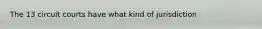 The 13 circuit courts have what kind of jurisdiction