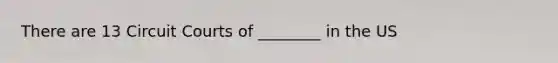 There are 13 Circuit Courts of ________ in the US