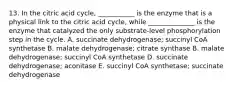 13. In the citric acid cycle, ___________ is the enzyme that is a physical link to the citric acid cycle, while ______________ is the enzyme that catalyzed the only substrate-level phosphorylation step in the cycle. A. succinate dehydrogenase; succinyl CoA synthetase B. malate dehydrogenase; citrate synthase B. malate dehydrogenase; succinyl CoA synthetase D. succinate dehydrogenase; aconitase E. succinyl CoA synthetase; succinate dehydrogenase