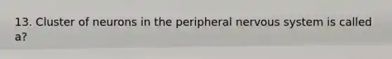 13. Cluster of neurons in the peripheral nervous system is called a?