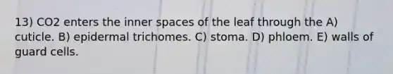 13) CO2 enters the inner spaces of the leaf through the A) cuticle. B) epidermal trichomes. C) stoma. D) phloem. E) walls of guard cells.