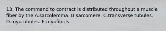 13. The command to contract is distributed throughout a muscle fiber by the A.sarcolemma. B.sarcomere. C.transverse tubules. D.myotubules. E.myofibrils.