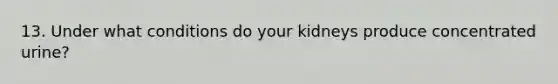 13. Under what conditions do your kidneys produce concentrated urine?