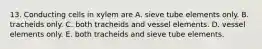 13. Conducting cells in xylem are A. sieve tube elements only. B. tracheids only. C. both tracheids and vessel elements. D. vessel elements only. E. both tracheids and sieve tube elements.