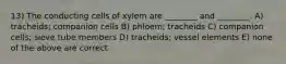 13) The conducting cells of xylem are ________ and ________. A) tracheids; companion cells B) phloem; tracheids C) companion cells; sieve tube members D) tracheids; vessel elements E) none of the above are correct