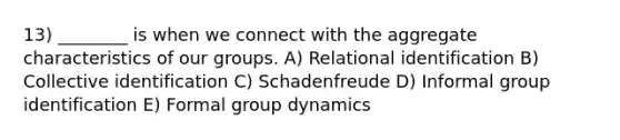 13) ________ is when we connect with the aggregate characteristics of our groups. A) Relational identification B) Collective identification C) Schadenfreude D) Informal group identification E) Formal group dynamics