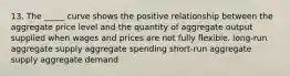 13. The _____ curve shows the positive relationship between the aggregate price level and the quantity of aggregate output supplied when wages and prices are not fully flexible. long-run aggregate supply aggregate spending short-run aggregate supply aggregate demand