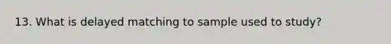 13. What is delayed matching to sample used to study?