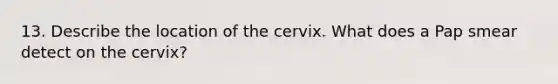 13. Describe the location of the cervix. What does a Pap smear detect on the cervix?