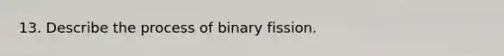 13. Describe the process of binary fission.