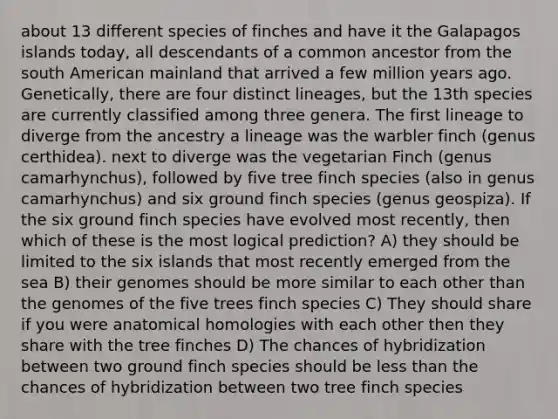 about 13 different species of finches and have it the Galapagos islands today, all descendants of a common ancestor from the south American mainland that arrived a few million years ago. Genetically, there are four distinct lineages, but the 13th species are currently classified among three genera. The first lineage to diverge from the ancestry a lineage was the warbler finch (genus certhidea). next to diverge was the vegetarian Finch (genus camarhynchus), followed by five tree finch species (also in genus camarhynchus) and six ground finch species (genus geospiza). If the six ground finch species have evolved most recently, then which of these is the most logical prediction? A) they should be limited to the six islands that most recently emerged from the sea B) their genomes should be more similar to each other than the genomes of the five trees finch species C) They should share if you were anatomical homologies with each other then they share with the tree finches D) The chances of hybridization between two ground finch species should be less than the chances of hybridization between two tree finch species